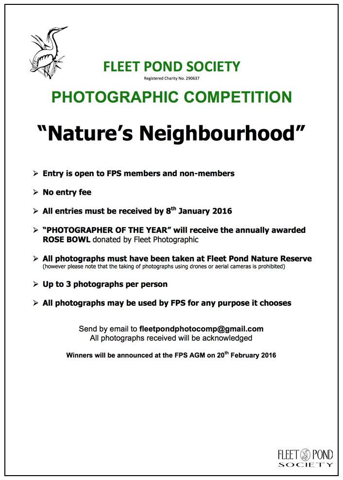 FPS Photo Comp Poster b 2016
